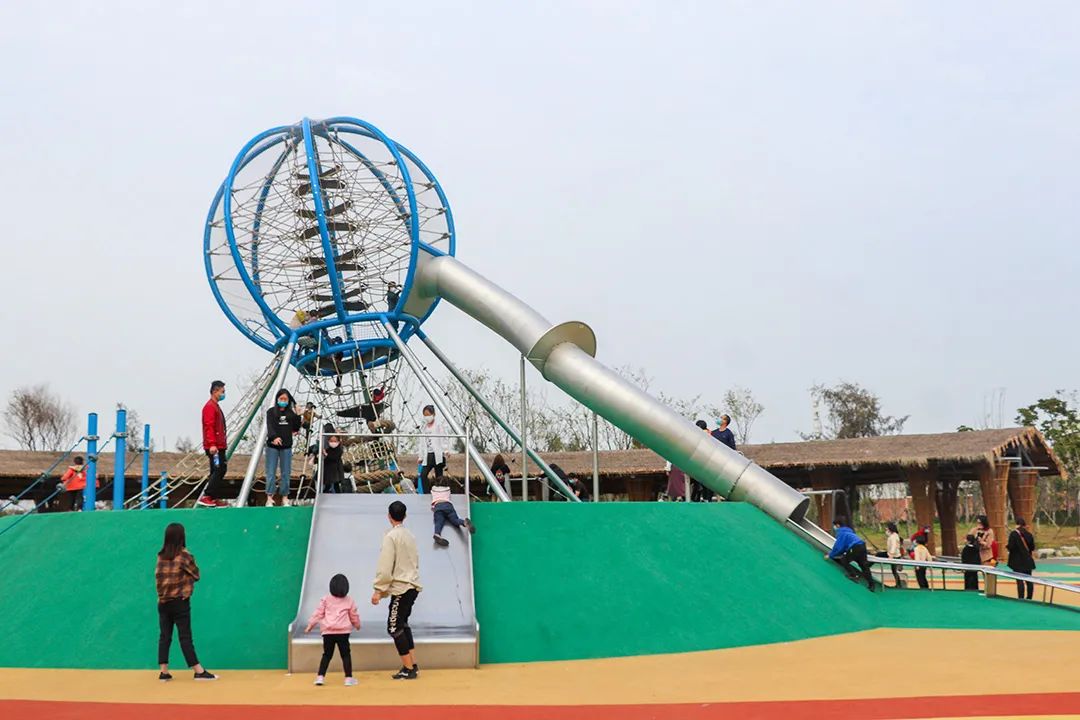 向日葵花海(泉州的向日葵花海好玩吗？值得一去吗？位置在哪里)