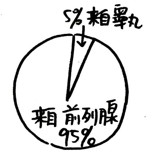 姑娘给男人结扎(女医生主刀做男人结扎例子)