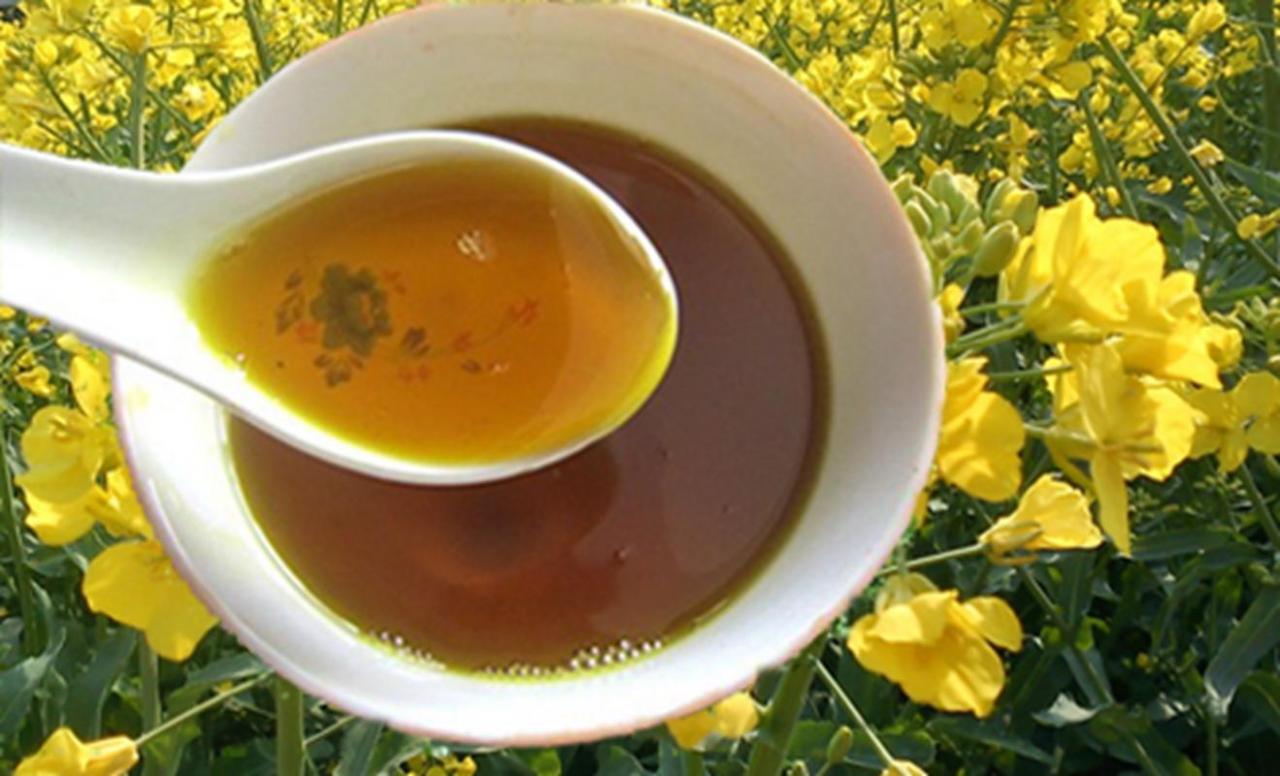 玉米油介绍(玉米油可以用黄油代替吗)