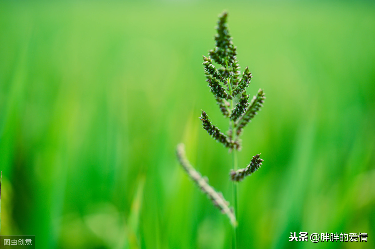 只要 也能 造句，宁可 也不 造句