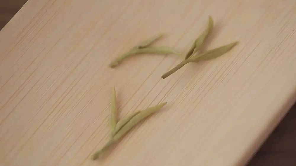 碧螺春产于哪里(为什么说只有苏州洞庭碧螺春才是最正宗的碧螺春)