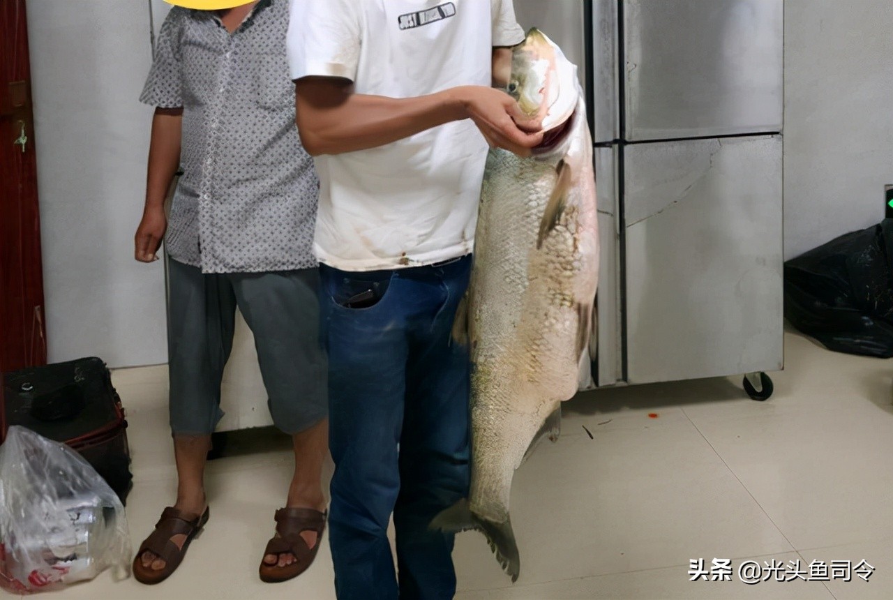 怎么钓翘嘴(为什么禁止泥鳅钓翘嘴)