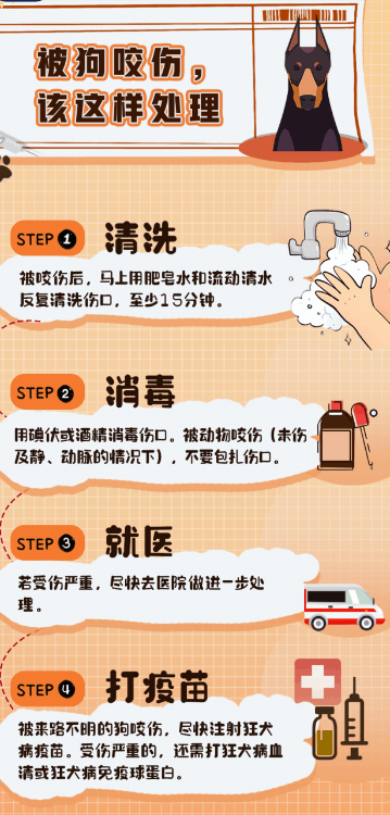 世界十大病毒排行榜