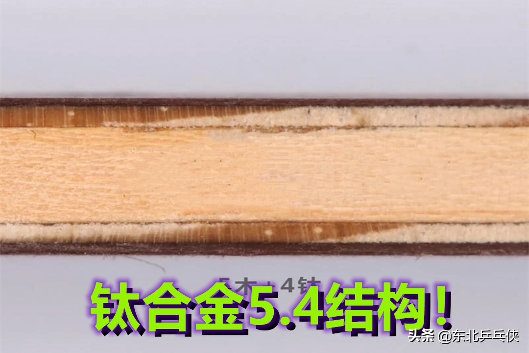 乒乓球拍(乒乓球拍怎么选)