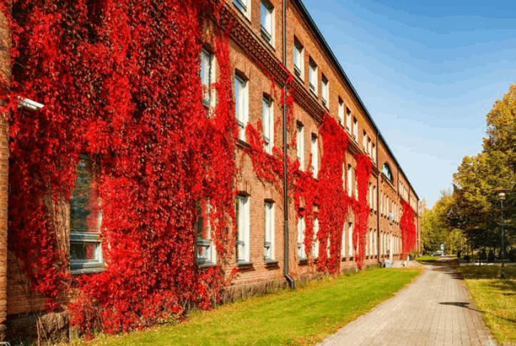 全国39所985大学排名榜(222年最新一览表)