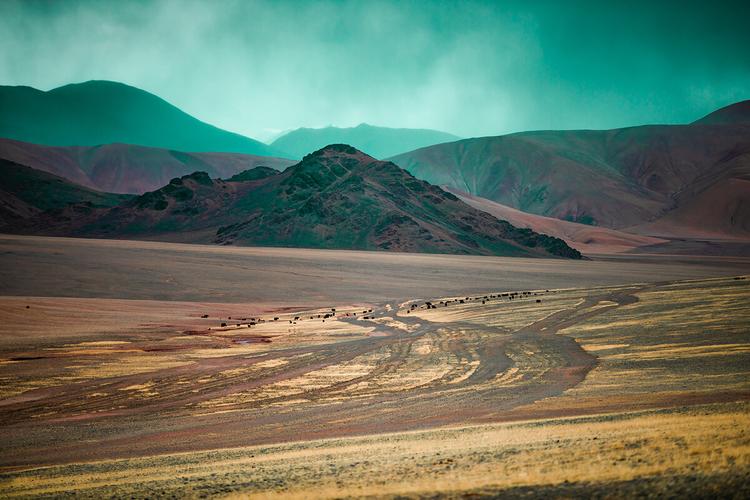 中国最可怕的无人区(无人区真的那么乱吗)