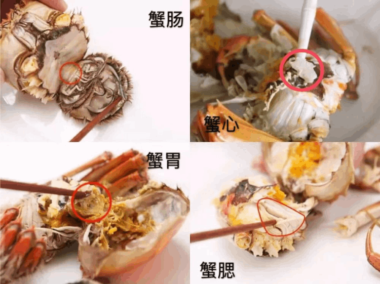 吃完螃蟹千万别碰5种食物(吃螃蟹忌口什么东西)