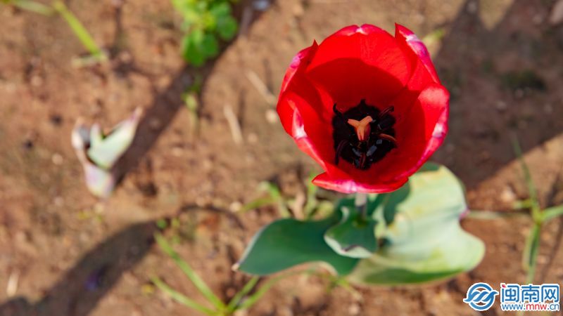 祝宝宝六一快乐(祝宝宝六一儿童节快乐)