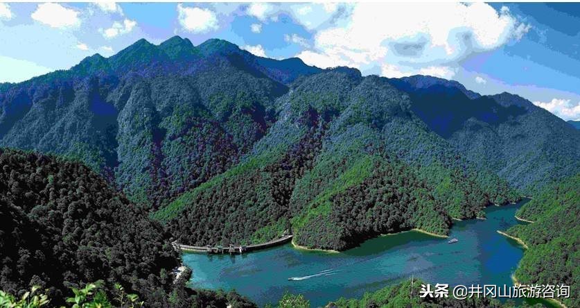 井冈山哪个省(井冈山的历史意义)