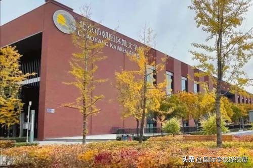 北京私立国际学校排名前十有哪些(北京TOP1私立国际学校221最新学费汇总)