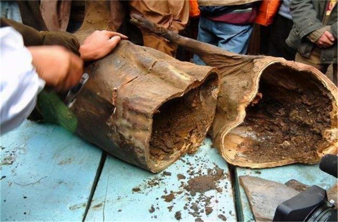 四川顶级美食臭猪肉，死猪挂梁30年，能卖几十万