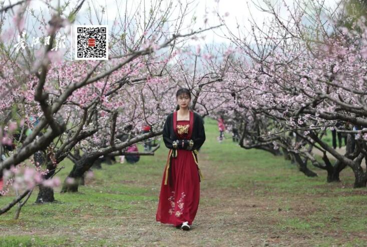 武汉大学历任校花(武汉大学十大校花排行) 武汉大学历任校花(武汉大学十大校花排行)