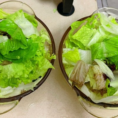 蔬菜沙拉的做法和材料介绍(蔬菜沙拉的做法和材料)