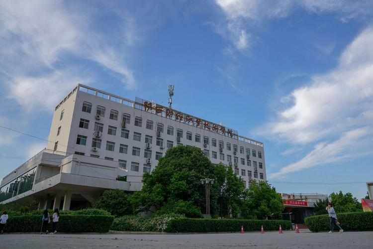 222高考报哪些学校比较好(3多分能上什么样的大学) 222高考报哪些学校比较好(3多分能上什么样的大学)