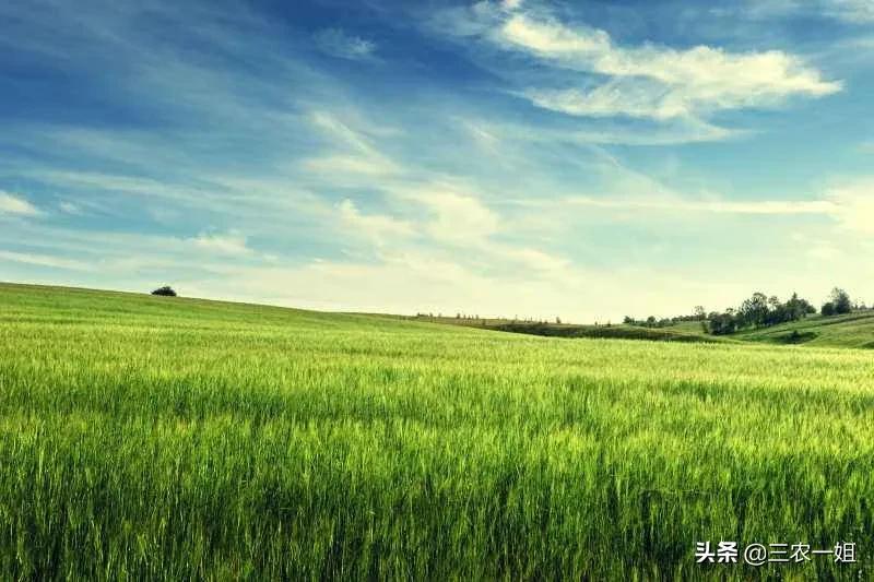 农历四月初一(农村俗语＂四月初一是晴天，高山平地任开田＂是什么意思)