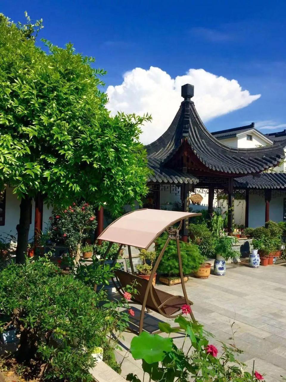 蜂鸟鹰蛾如何养才长得好