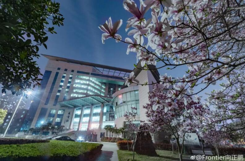 武汉大学历任校花(武汉大学十大校花排行) 武汉大学历任校花(武汉大学十大校花排行)
