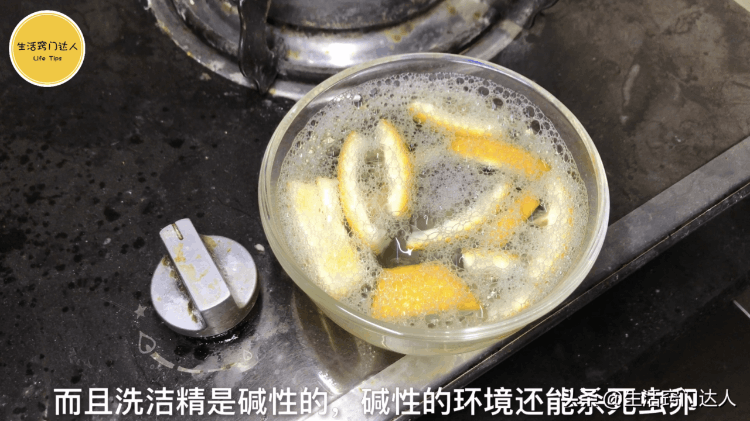 关于除蟑螂的小妙招