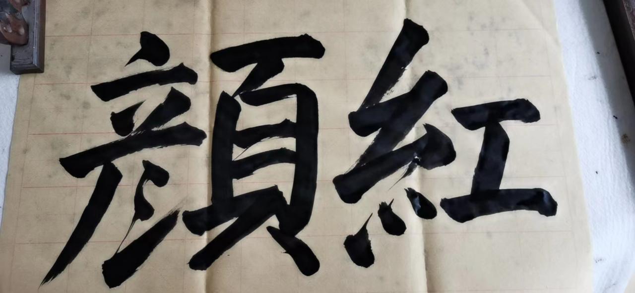 2010世界杯(2010世界杯朝鲜水瓶事件)