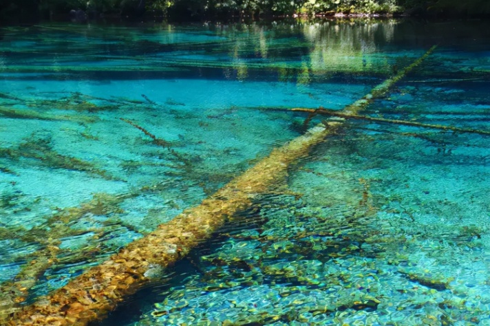 国庆节值得打卡的四个地方(自驾游十一去哪玩比较好)