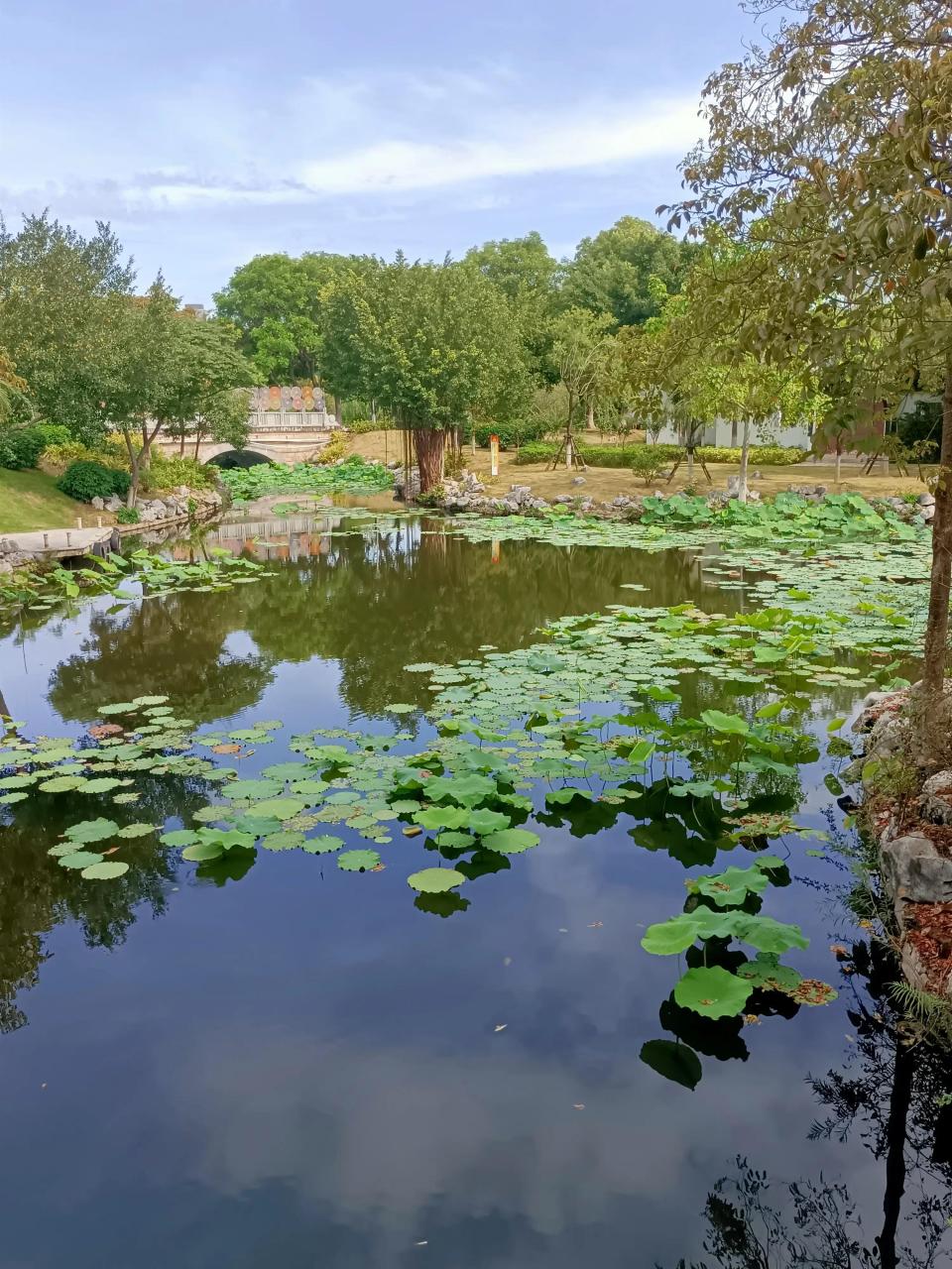 为什么疫情越来越严重了，为什么疫情越来越严重了什么原因