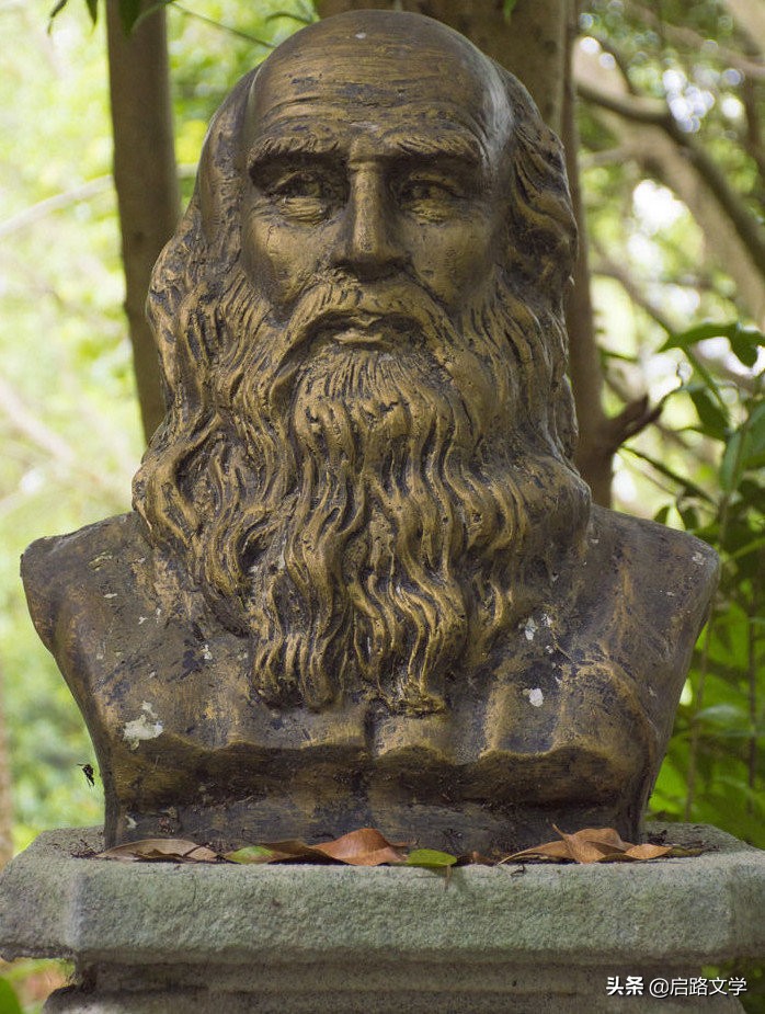 什么是达芬奇名言(达芬奇名言)? 什么是达芬奇名言(达芬奇名言)?