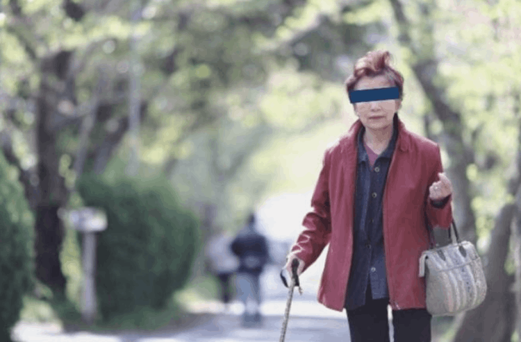 山上徹也为什么杀安倍晋三（凶手刺杀安倍原因）