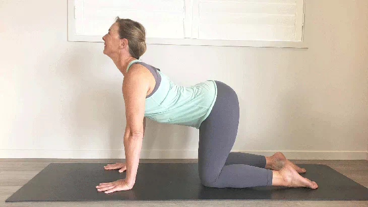 初学者如何练习瑜伽