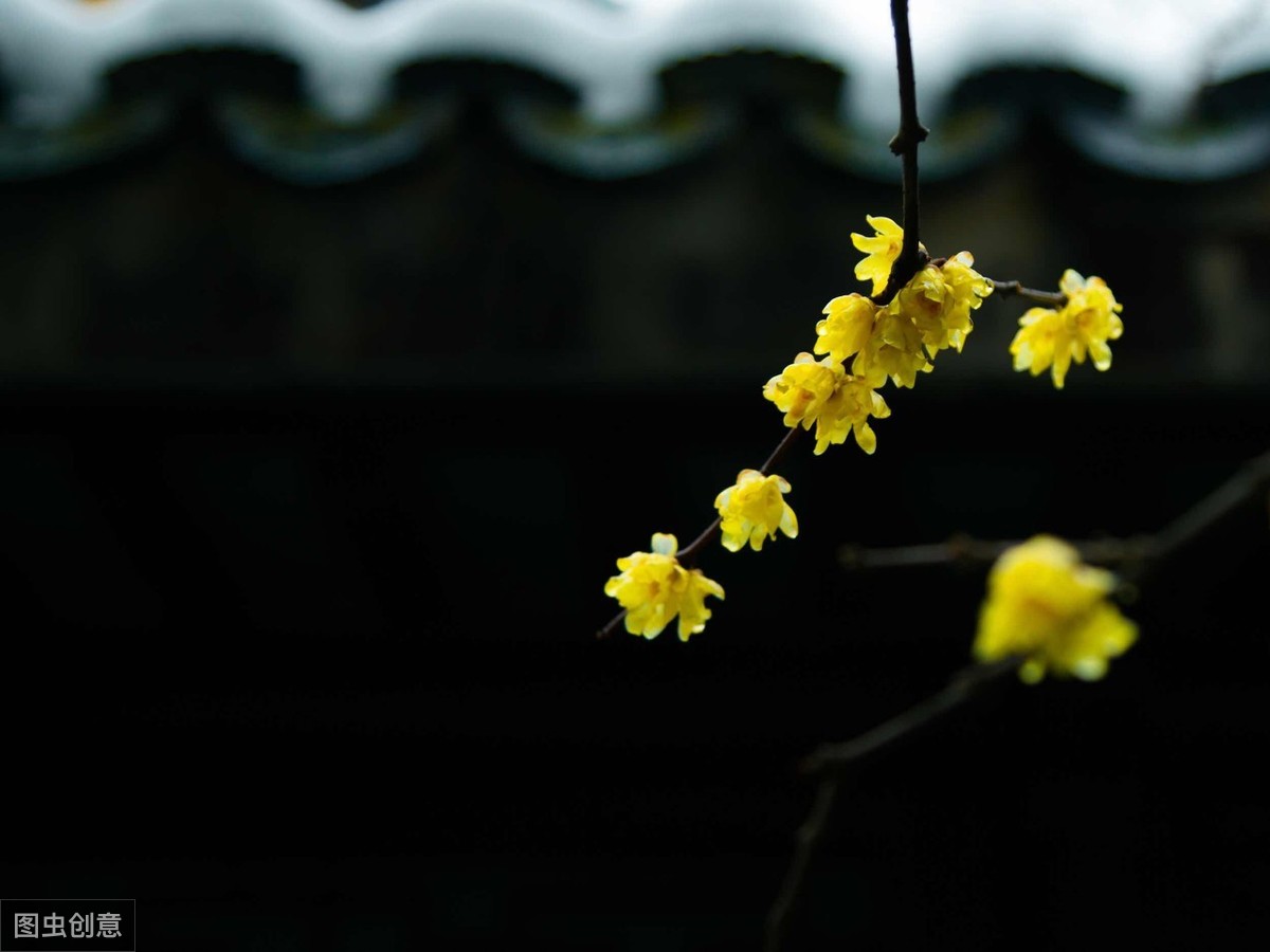 佛教的六尘都是啥意思(佛陀所说的六根、六尘、六识指的是什么)