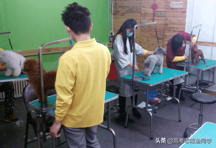 大专介绍，专业介绍大全