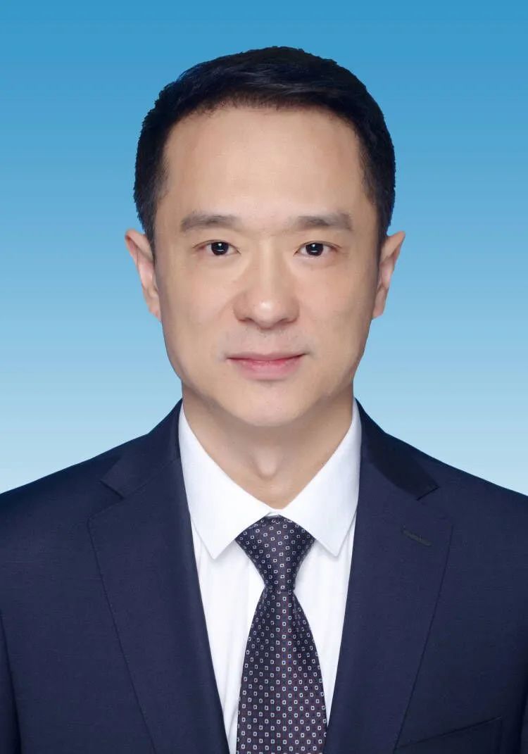 陈婷婷简介(陈婷婷个人资料)