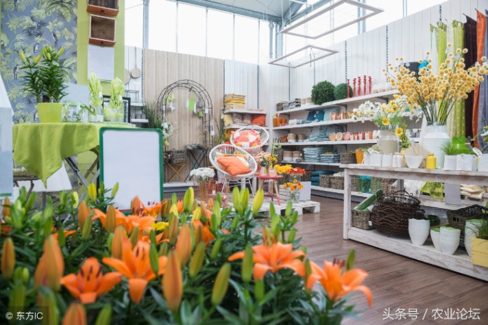 农村开花店赚钱吗（在农村开花店赚钱吗）