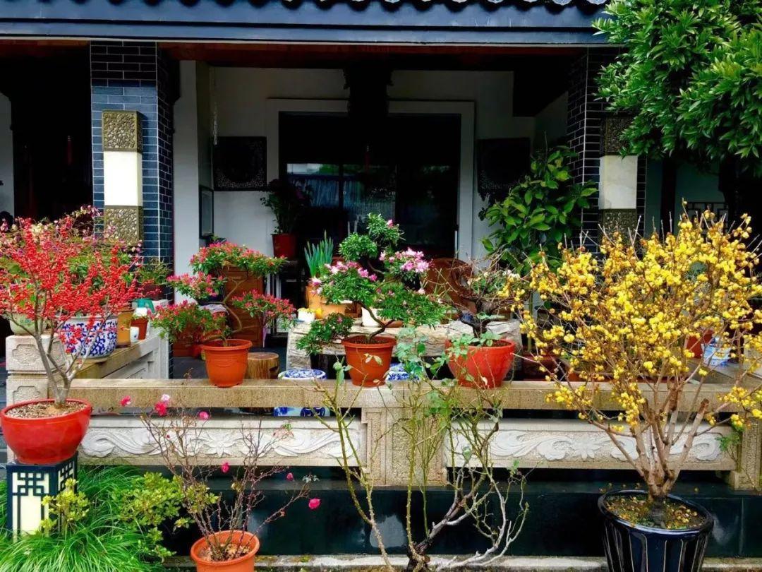 蜂鸟鹰蛾如何养才长得好