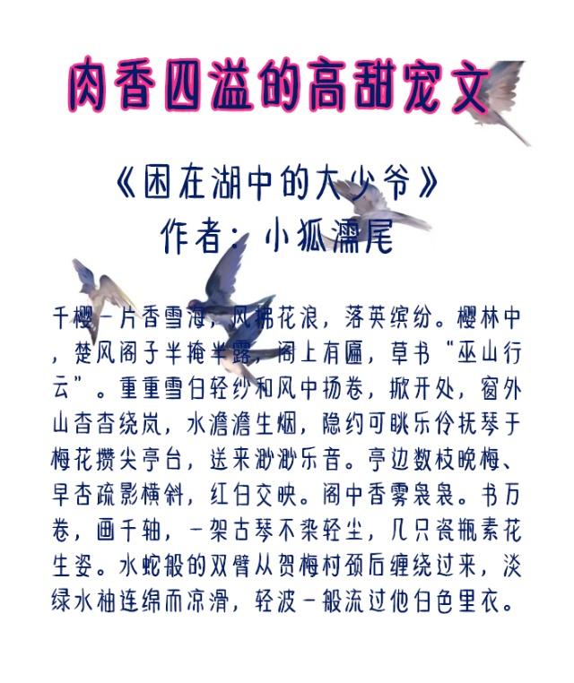 5本肉香四溢的高甜宠文(肉为主剧情为辅的甜宠文)