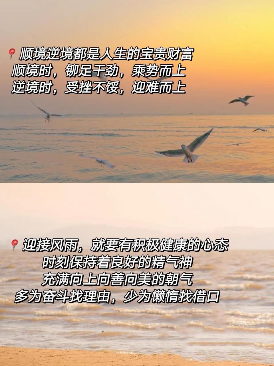 选择毕业季暖心句(毕业季暖心句)