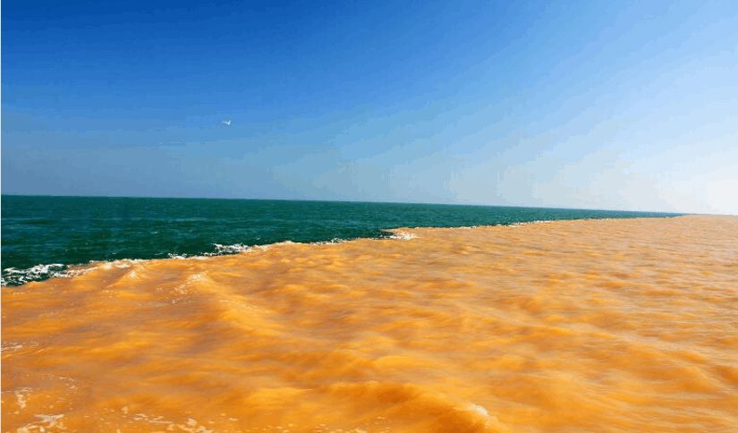 世界上黄河含沙量最大,为什么渤海没有填满 世界上黄河含沙量最大,为什么渤海没有填满