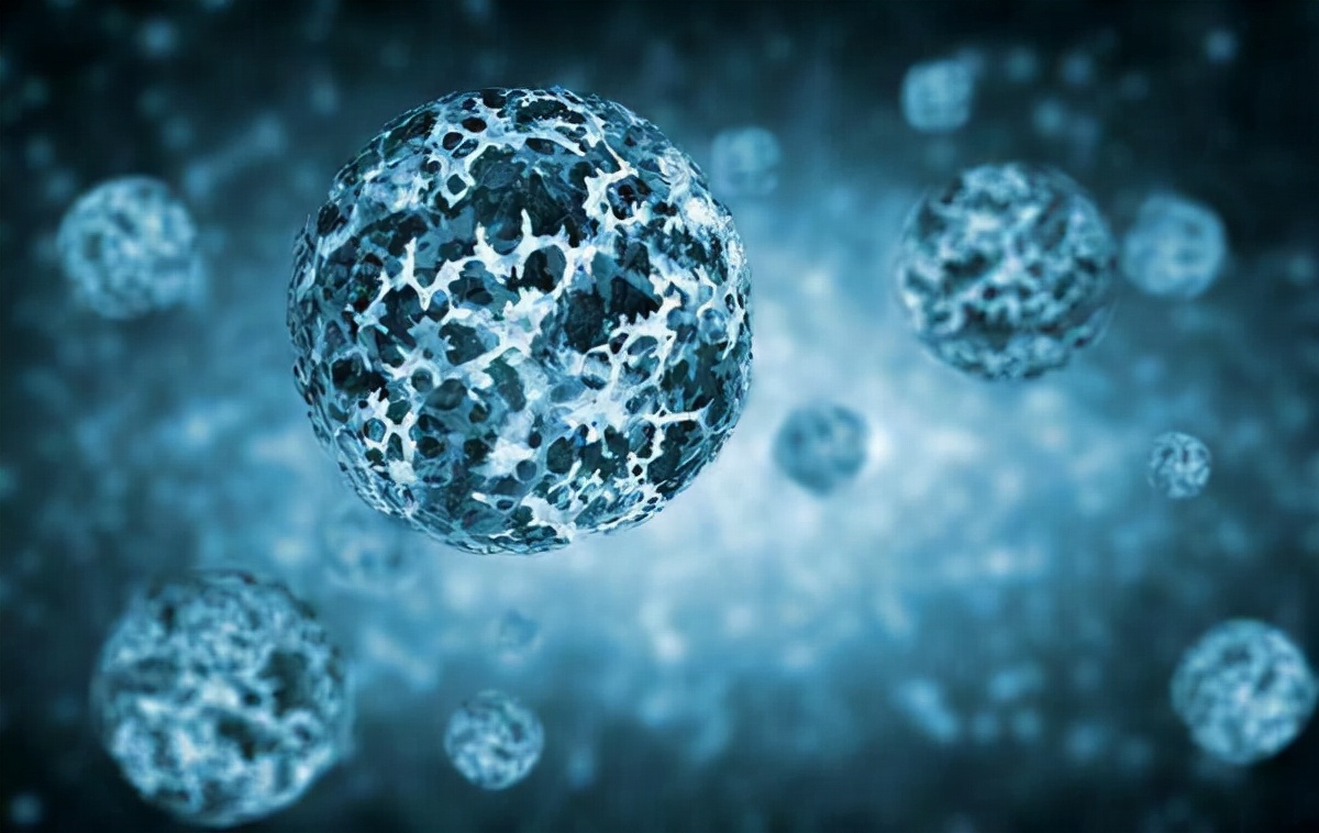 世界十大病毒排行榜