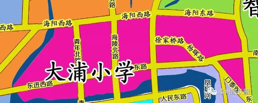泰州市公立小学排名榜(泰州市城南小学上榜第一省一级实验小学)