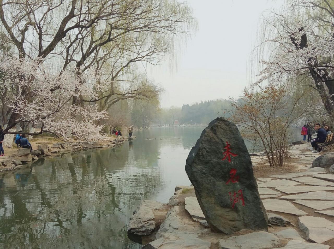 北京大学排名(北京大学排名前十名)