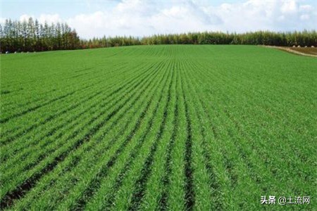 一亩地等于多少平方(一亩地等于多少平方公里?)