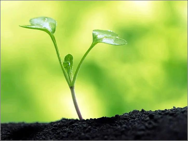 不经历风雨怎能见彩虹(不经历风雨怎能见彩虹”所体现的是一种) 不经历风雨怎能见彩虹(不经历风雨怎能见彩虹”所体现的是一种)