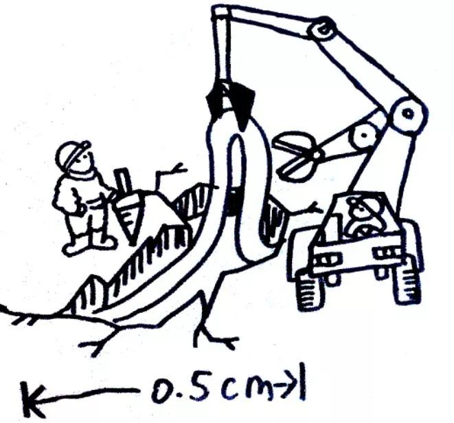 姑娘给男人结扎(女医生主刀做男人结扎例子)
