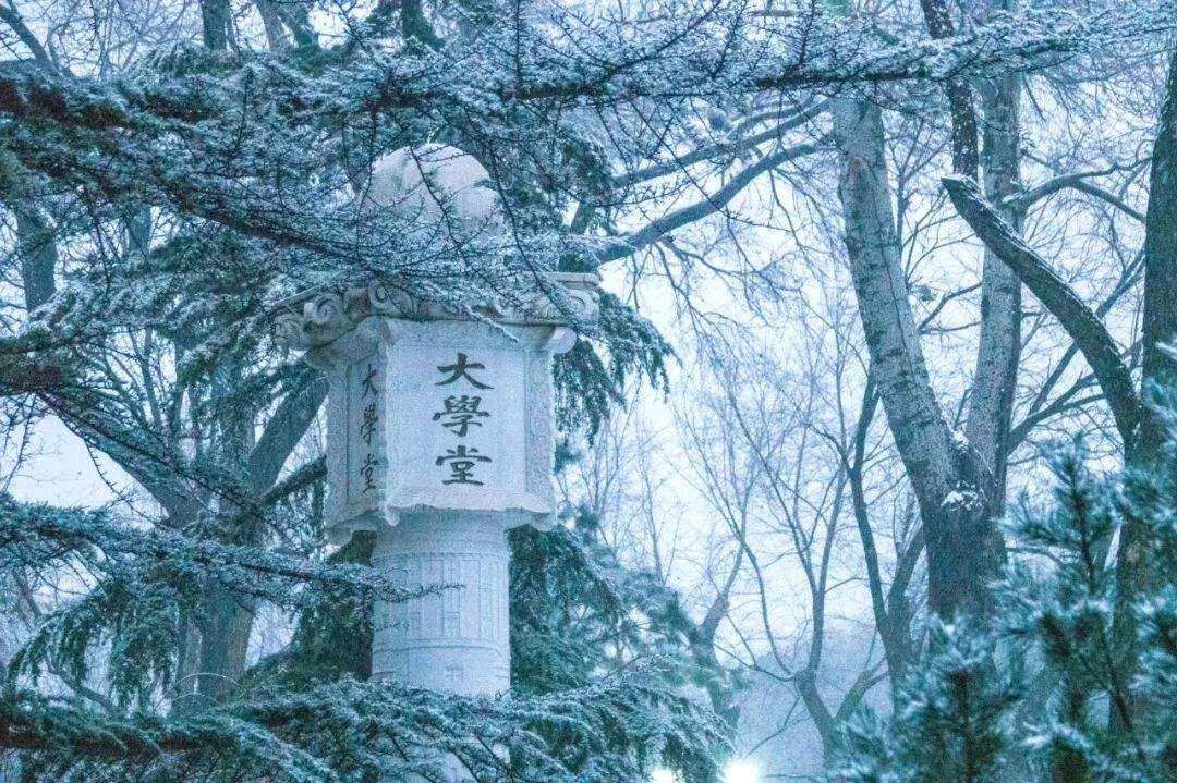 北京大学排名(北京大学排名前十名)