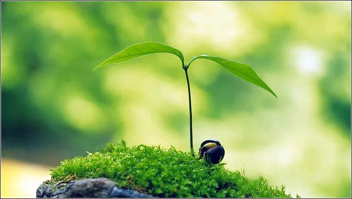 不经历风雨怎能见彩虹(不经历风雨怎能见彩虹”所体现的是一种) 不经历风雨怎能见彩虹(不经历风雨怎能见彩虹”所体现的是一种)