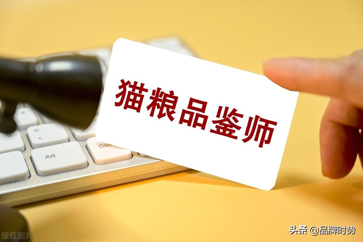 国产无谷猫粮排行(国产无谷天然猫粮)