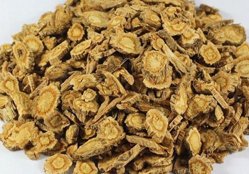 防风的功效与作用(防风是防治风湿最好的药)