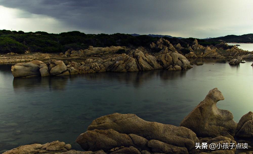 花骨朵是什么意思(梦见白色花骨朵是什么意思)