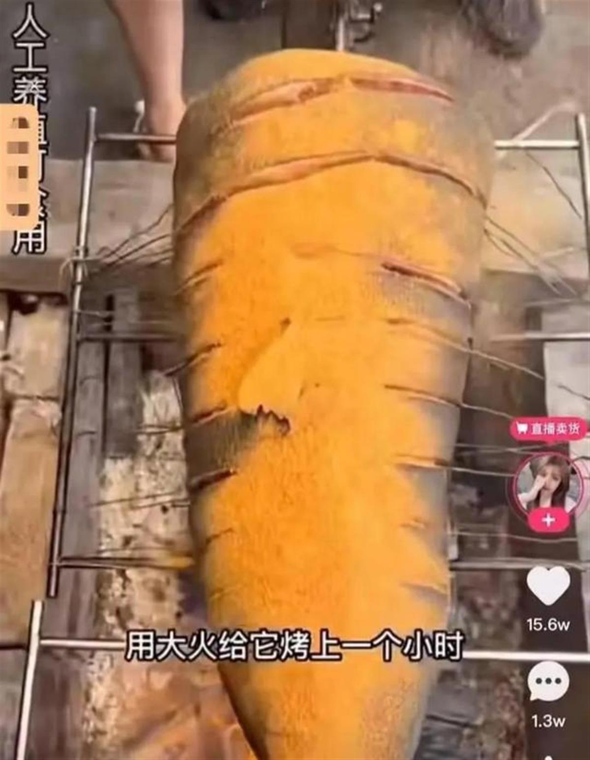 极目锐评｜警方认定网红用濒危大白鲨做美食，无知无畏可真“刑”