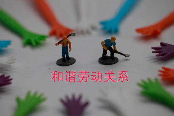 人力资源的主要工作内容是什么(人力资源的主要工作内容)