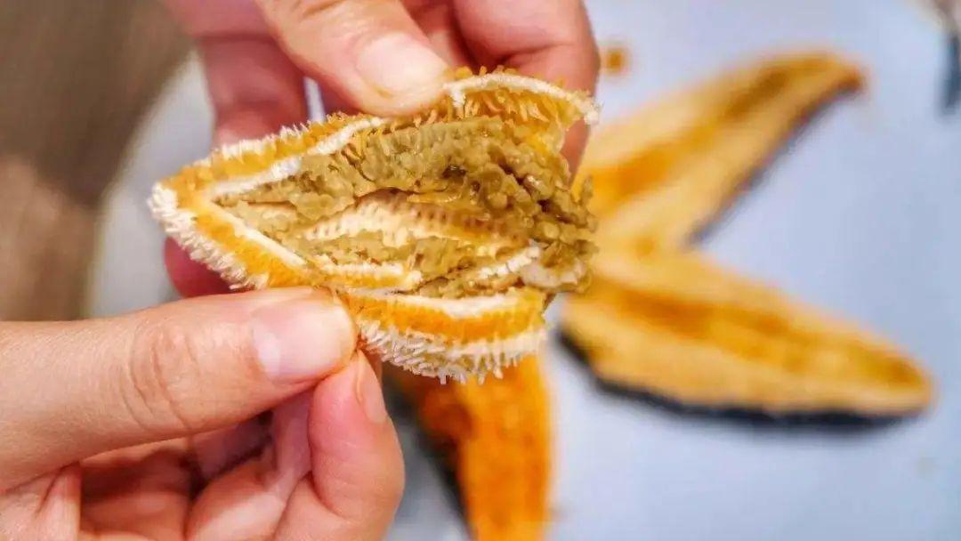 海星可以吃吗（原来海星可以吃的？）